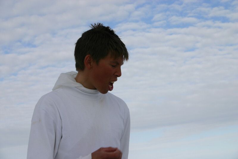 Kap Stewart 019.jpg
